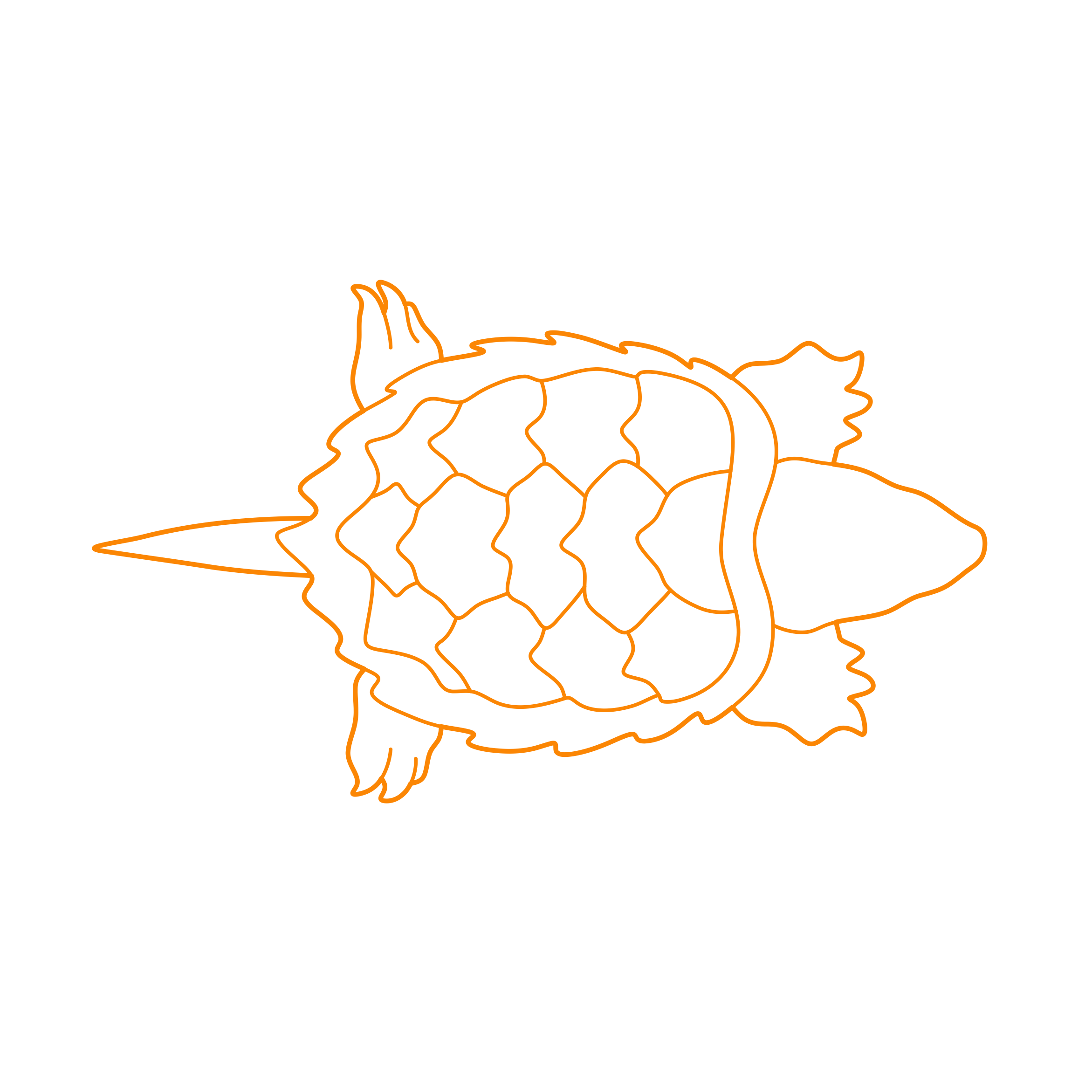 Animals Turtles Alligator Snapping Turtle Silhouette Svg Vector Free Vectors